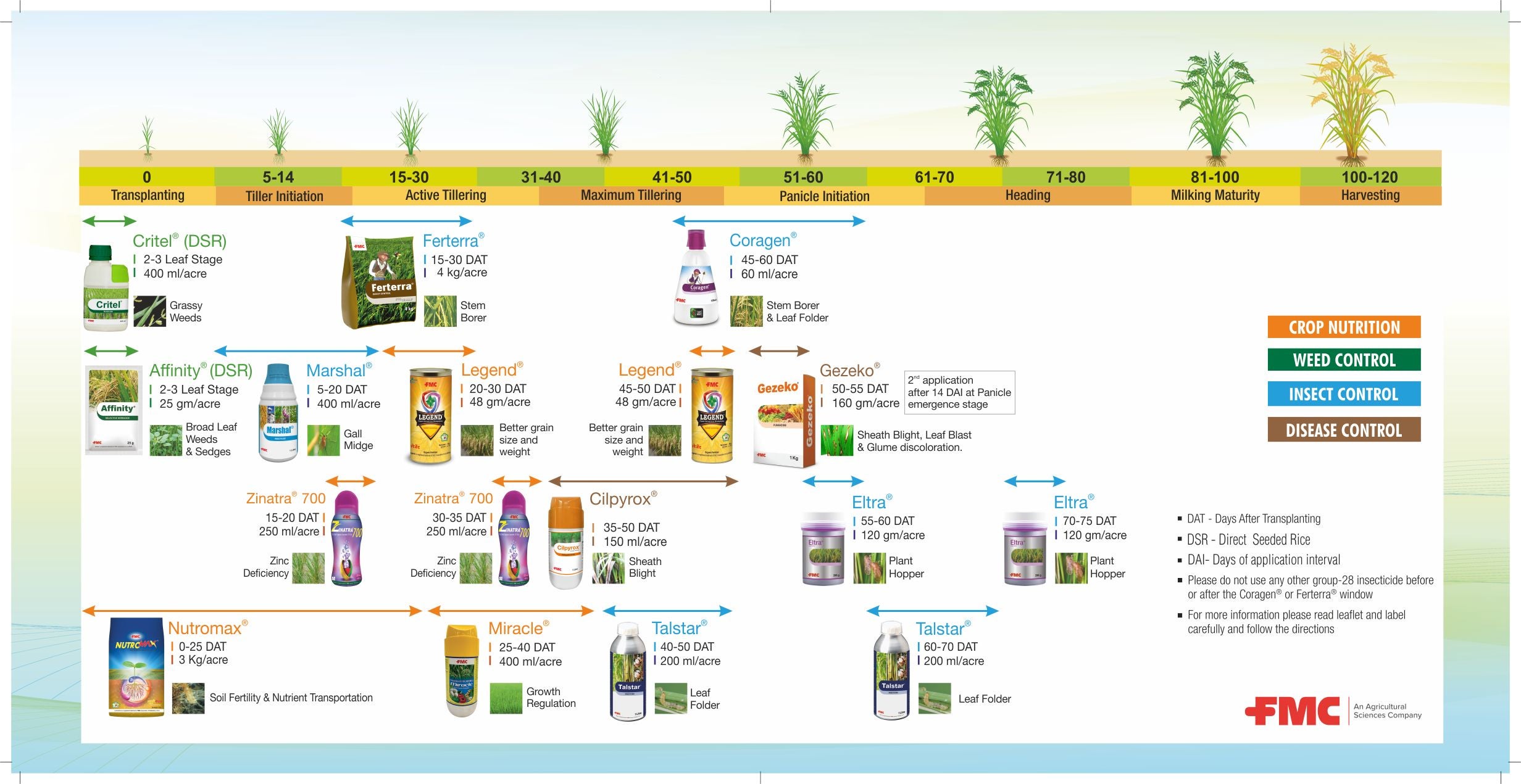 Rice Portfolio